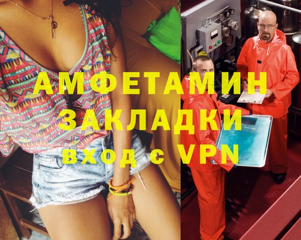 метадон Алексин
